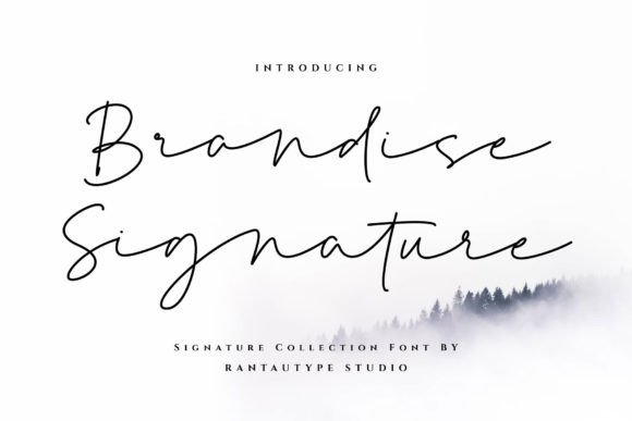 Brandise Signature: A Script Font for Elegant Creative Projects
