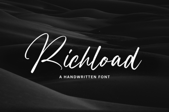 Richload: Crafting a Memorable Brand Identity